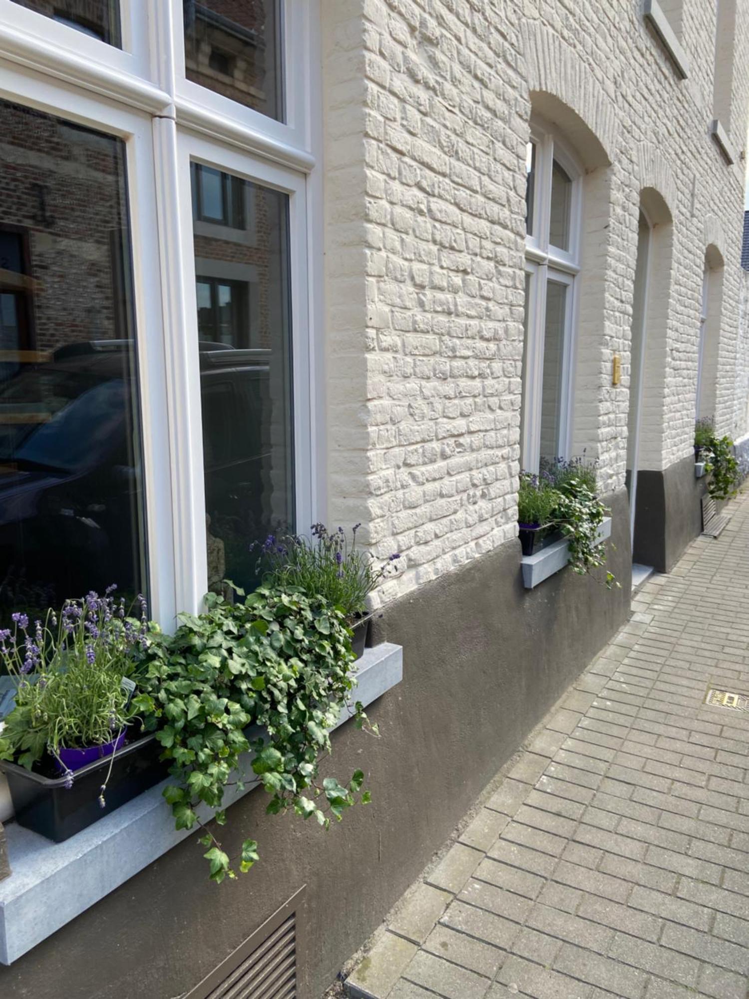 Begijnhofstudio'S Tongeren Exterior foto